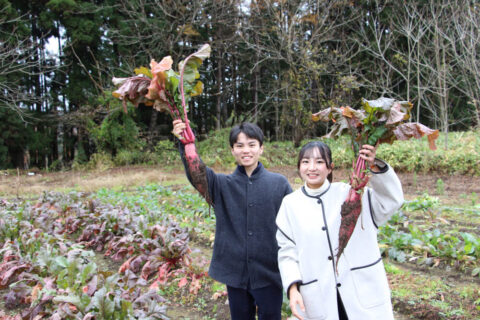 最上伝承野菜って？地域に根付く伝承野菜！